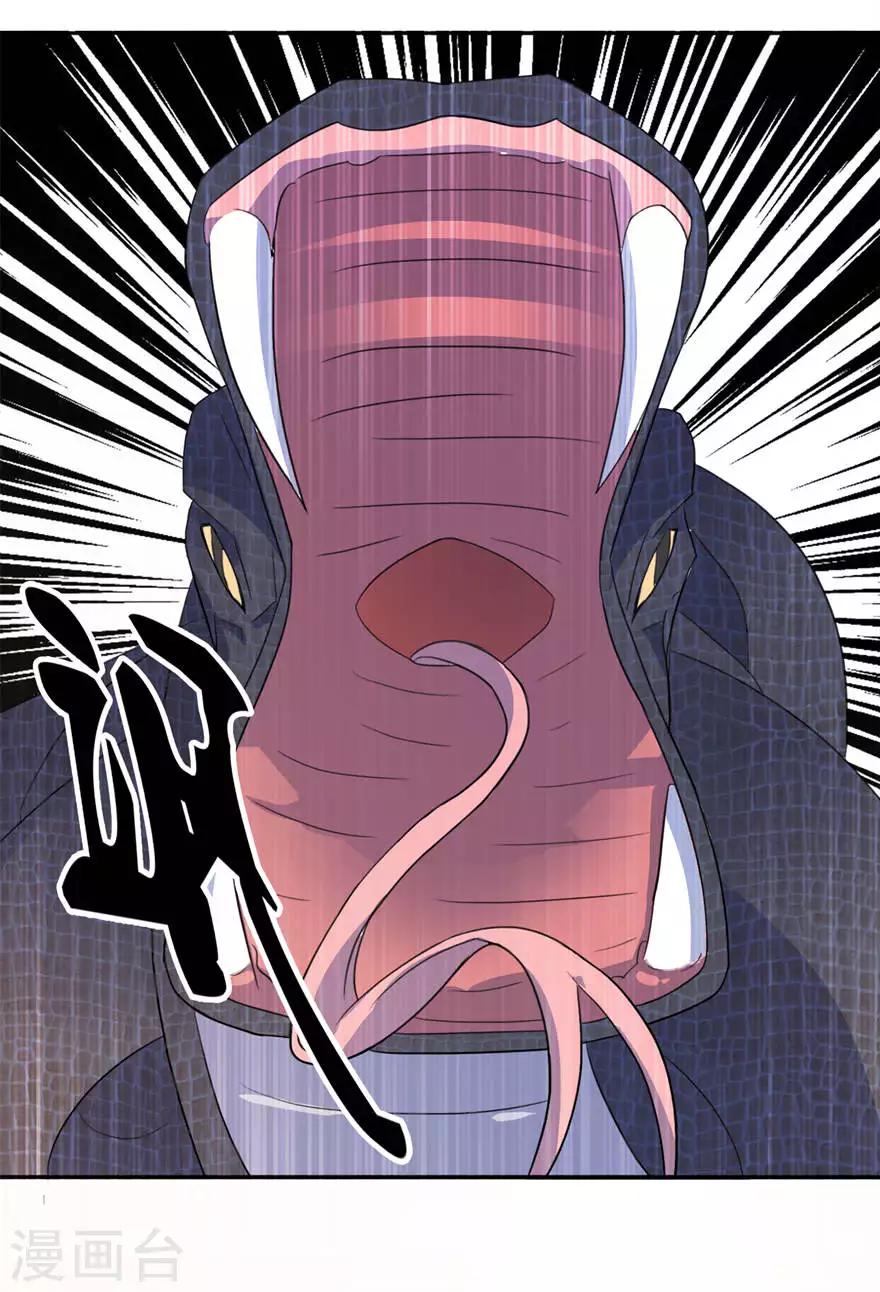 第11话 这夜色好美-第11话