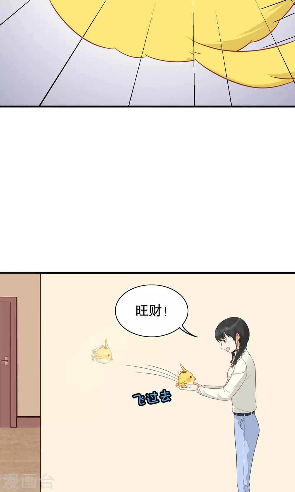 第12话 喜欢的人-第13话