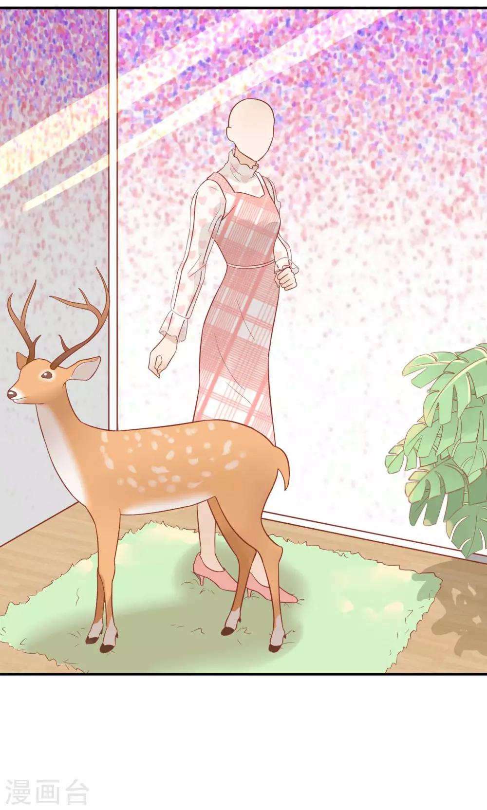 第18话 才不是少女心-第19话