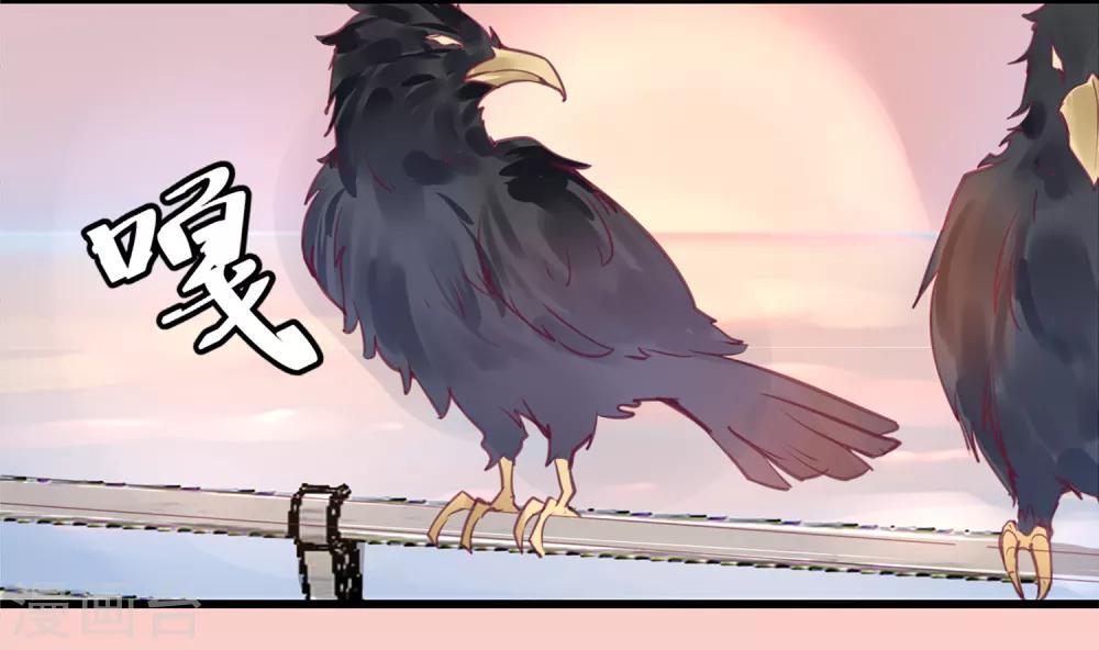 第15话 绝望还会继续下去吗-第15话