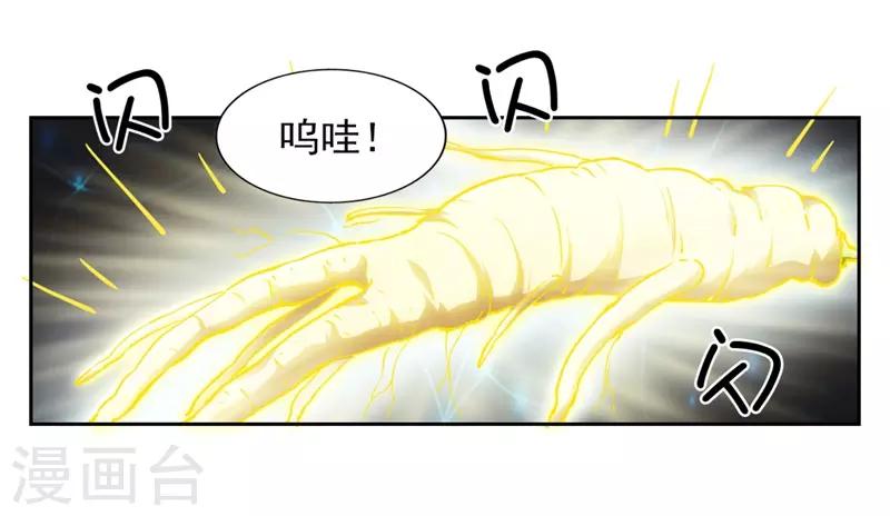 第7话 神奇的人参(1/2)-第7话