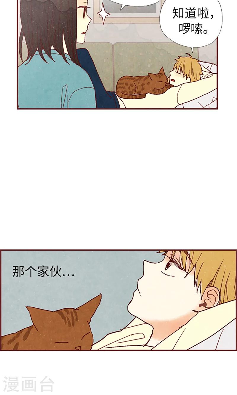 第19话 令人羡慕的幸福-第19话