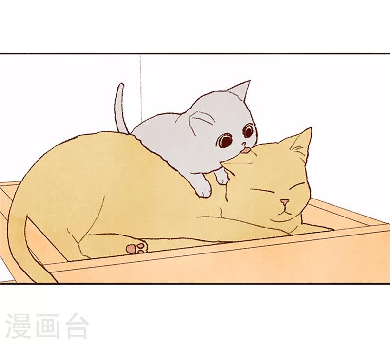 番外17 证明给你看-第87话