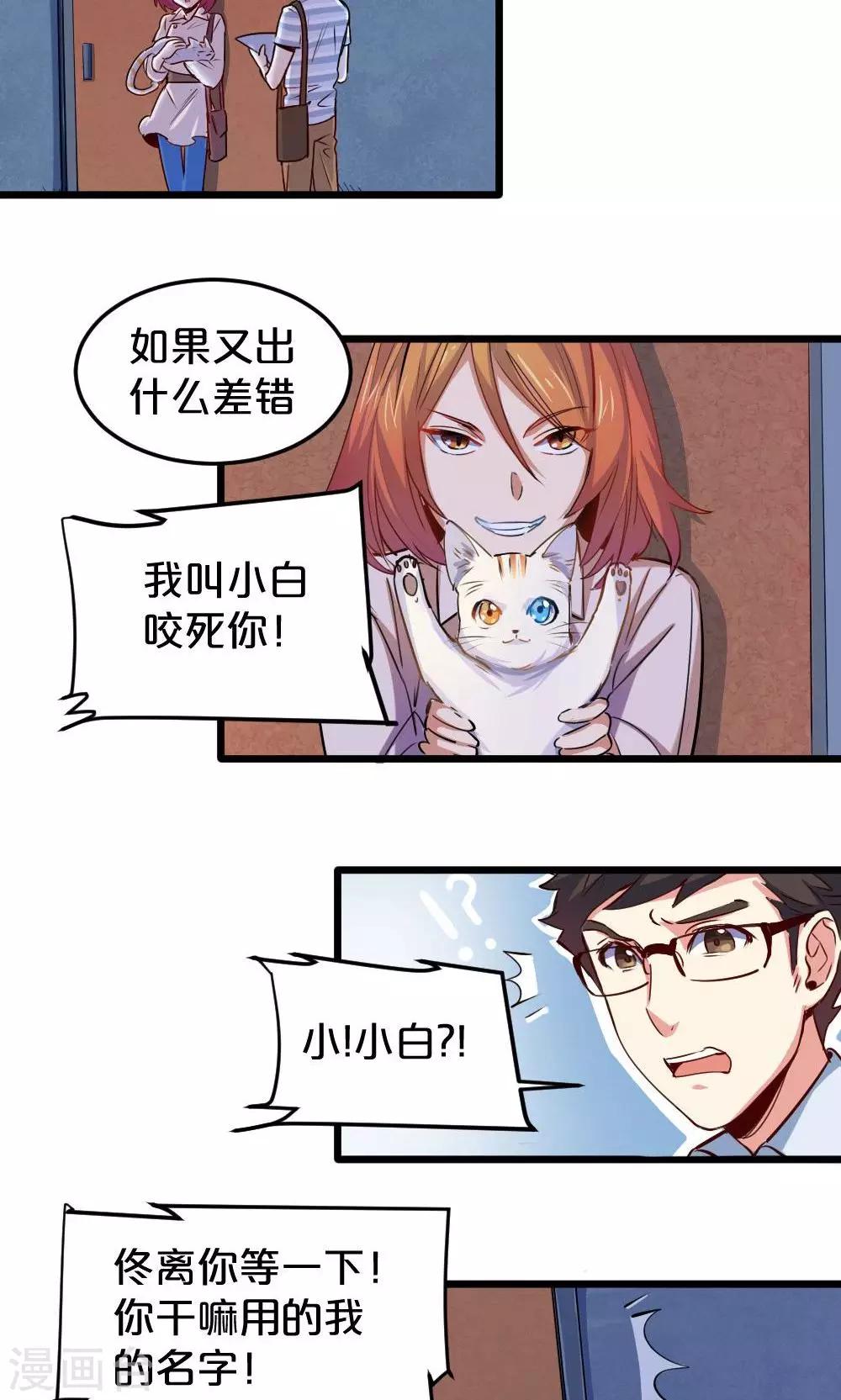 第15话 有猫了2-第15话