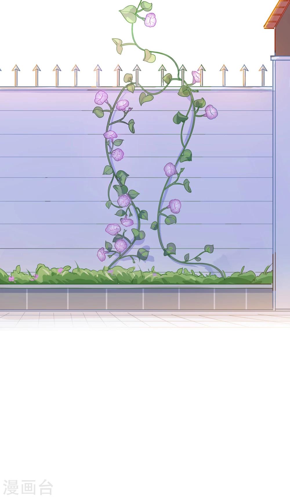 第66话 谁的回忆，牵牛花开-第67话