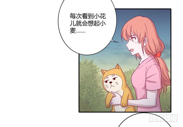 麦！许愿吧！(1/2)-第101话