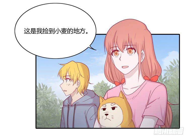 麦！许愿吧！(1/2)-第101话