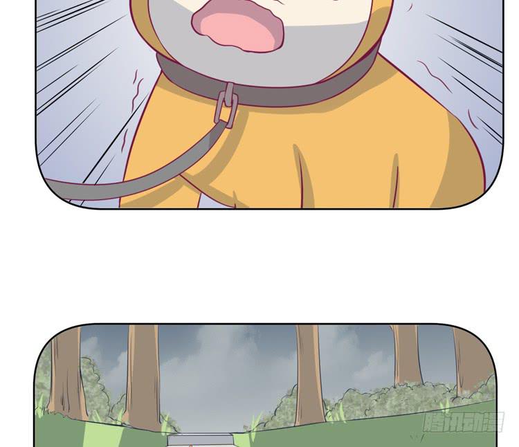 上山的寻觅(1/3)-第141话