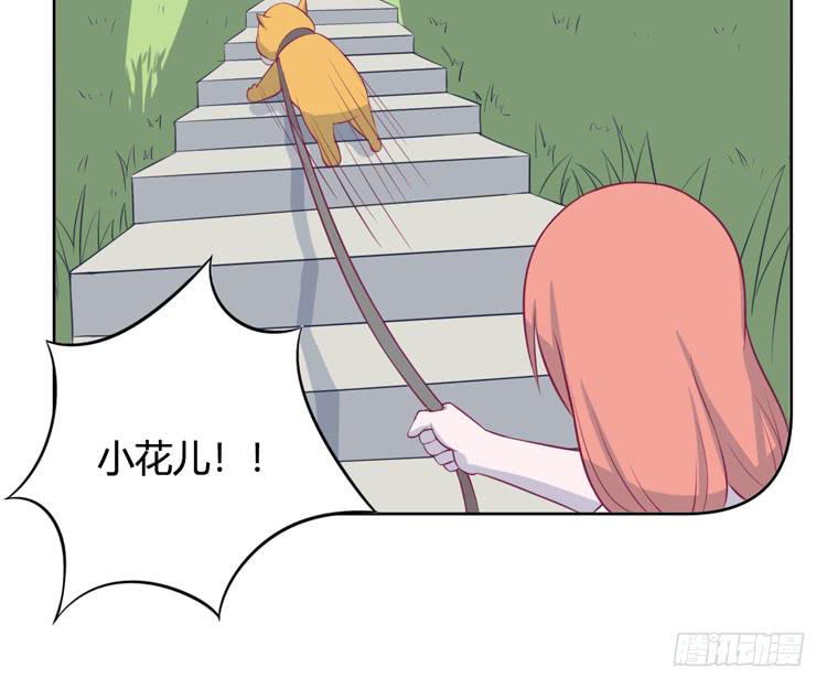 上山的寻觅(1/3)-第141话