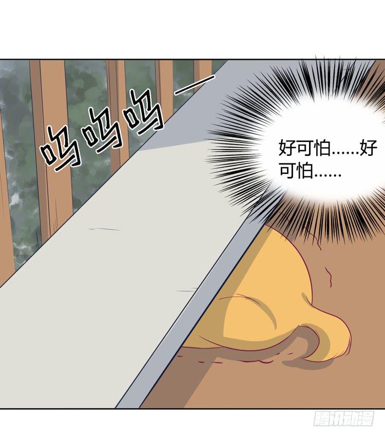 上山的寻觅(1/3)-第141话