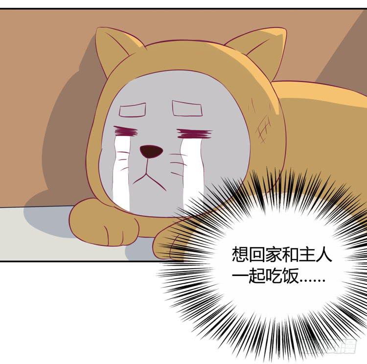 上山的寻觅(1/3)-第141话