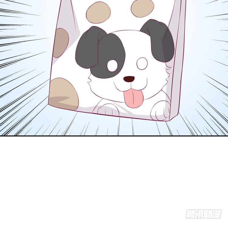 上山的寻觅(1/3)-第141话