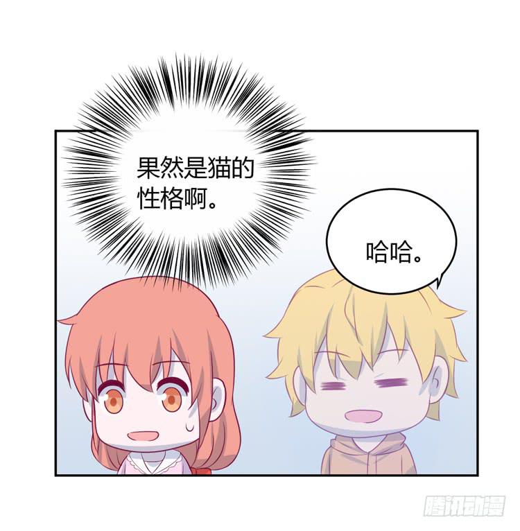 星空下的告白(1/2)-第151话