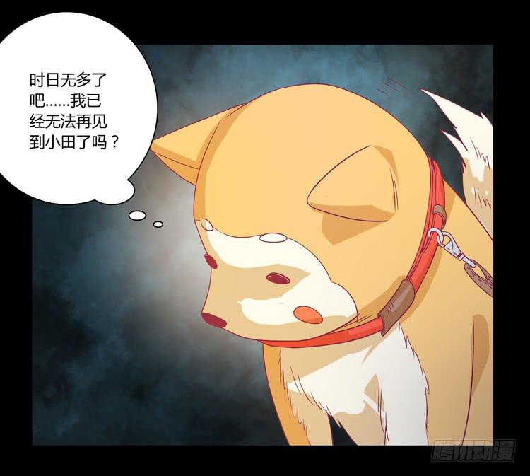 打回原形(1/2)-第39话