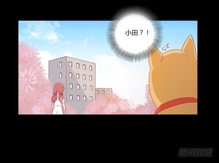 打回原形(1/2)-第39话