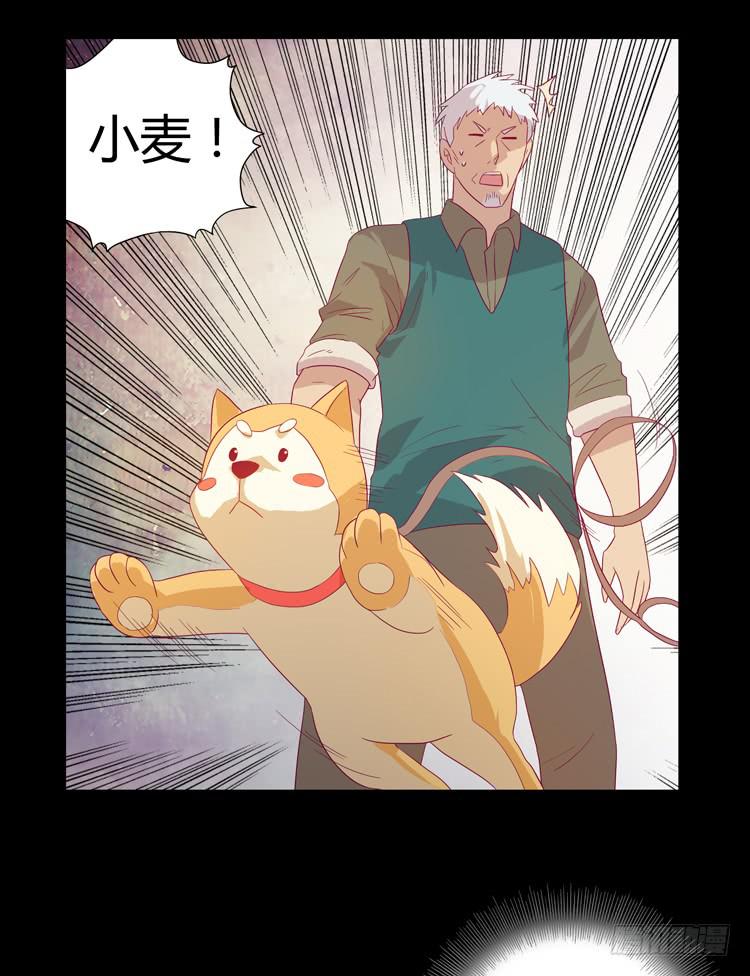 打回原形(1/2)-第39话