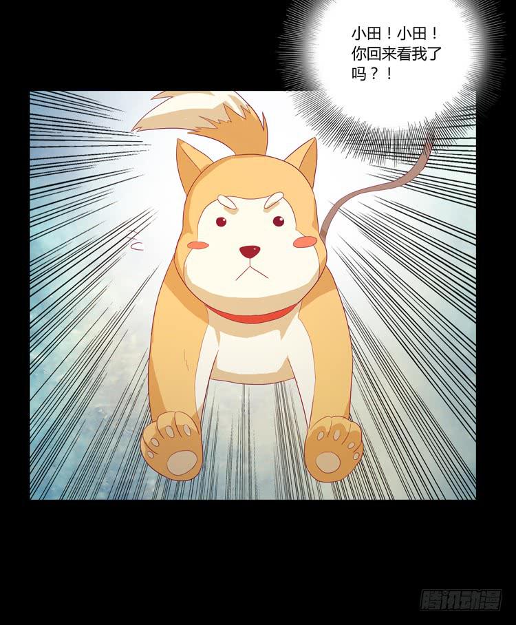 打回原形(1/2)-第39话