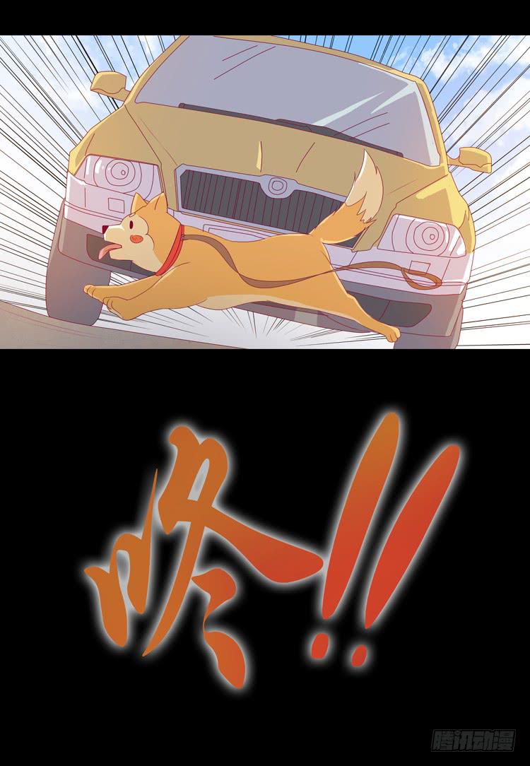 打回原形(1/2)-第39话