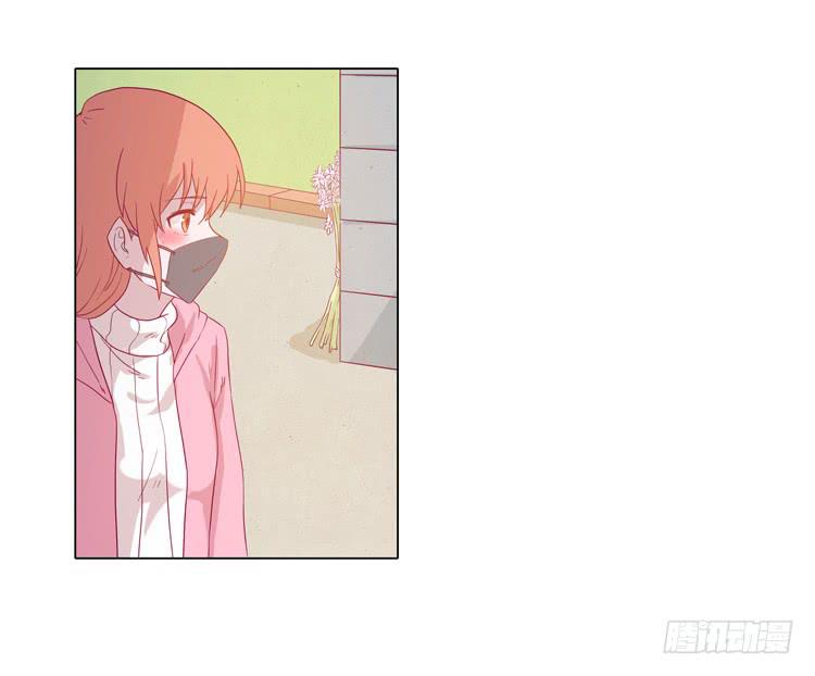 紫色雏菊的花语(1/2)-第45话