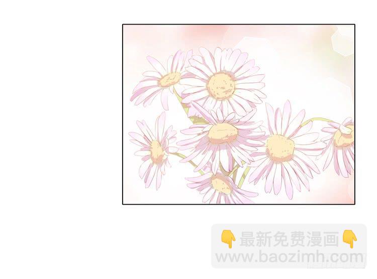 紫色雏菊的花语(1/2)-第45话