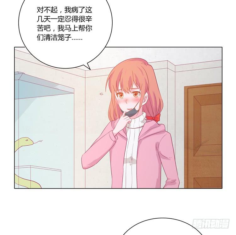 紫色雏菊的花语(1/2)-第45话