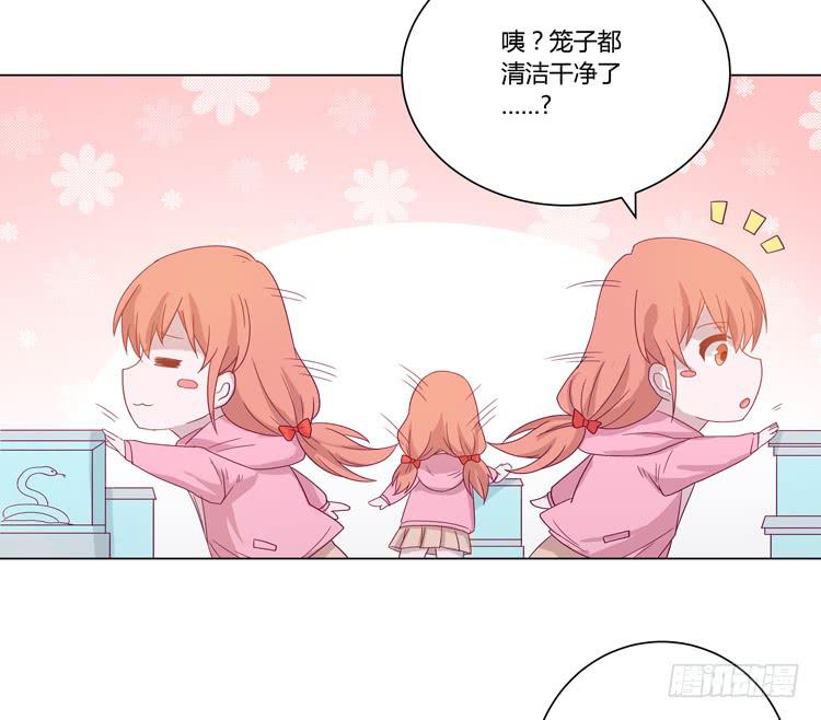 紫色雏菊的花语(1/2)-第45话