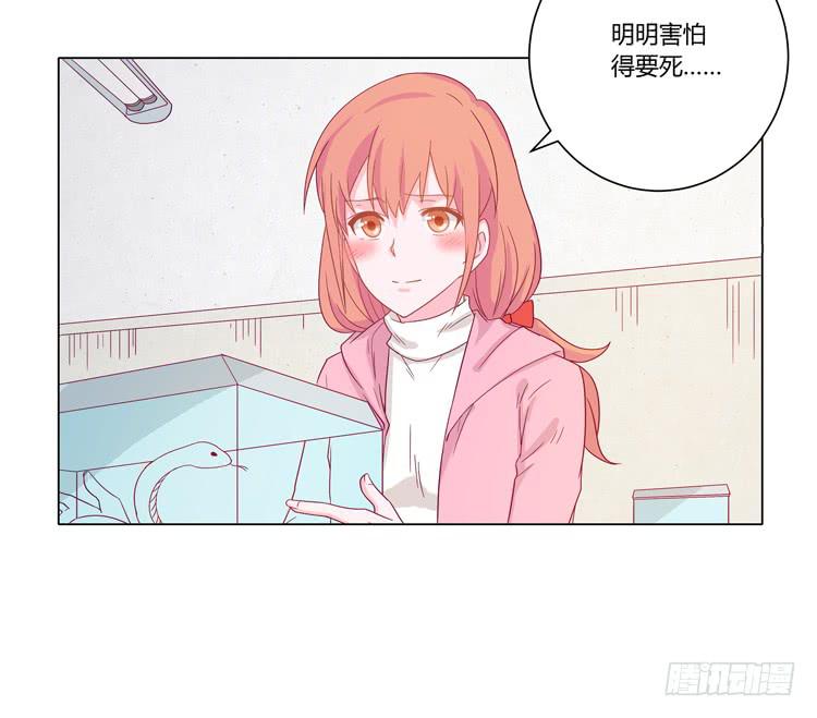 紫色雏菊的花语(1/2)-第45话