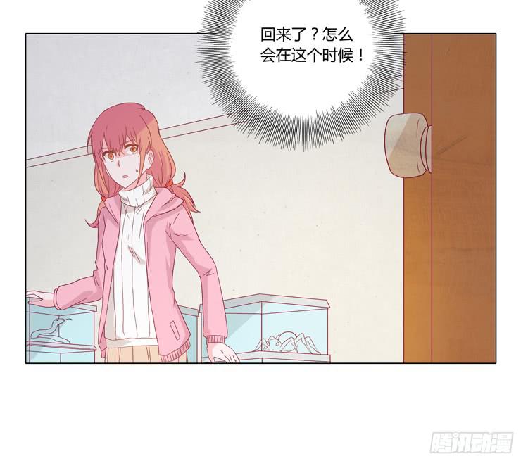 紫色雏菊的花语(1/2)-第45话