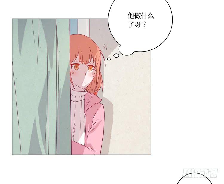 紫色雏菊的花语(1/2)-第45话