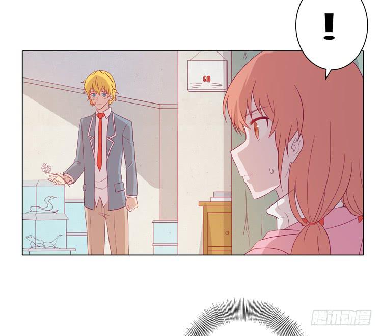 紫色雏菊的花语(1/2)-第45话