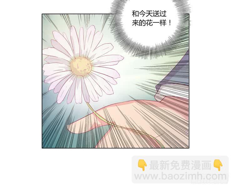紫色雏菊的花语(1/2)-第45话