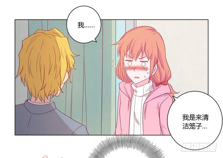 紫色雏菊的花语(1/2)-第45话