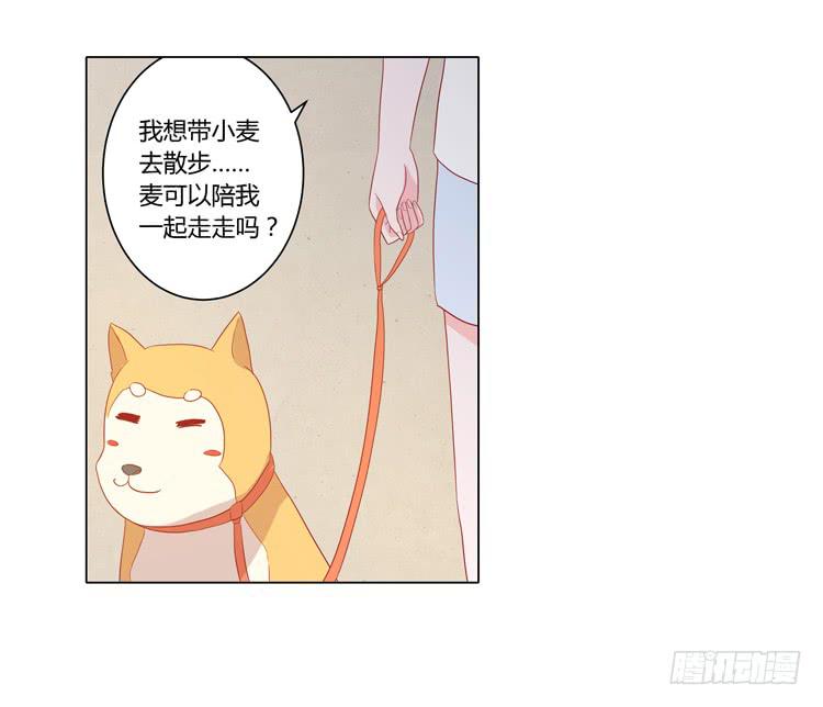 我要带小麦回城里！(1/2)-第51话