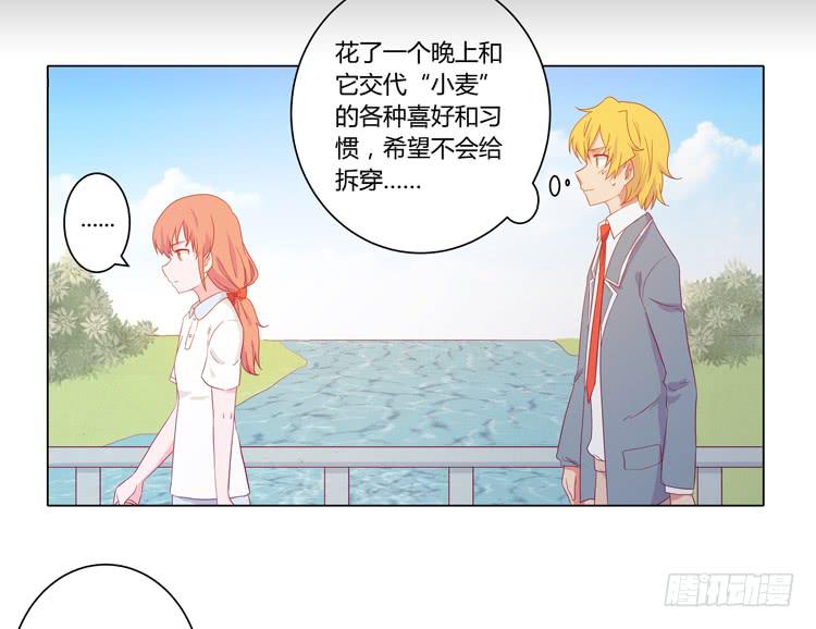 我要带小麦回城里！(1/2)-第51话