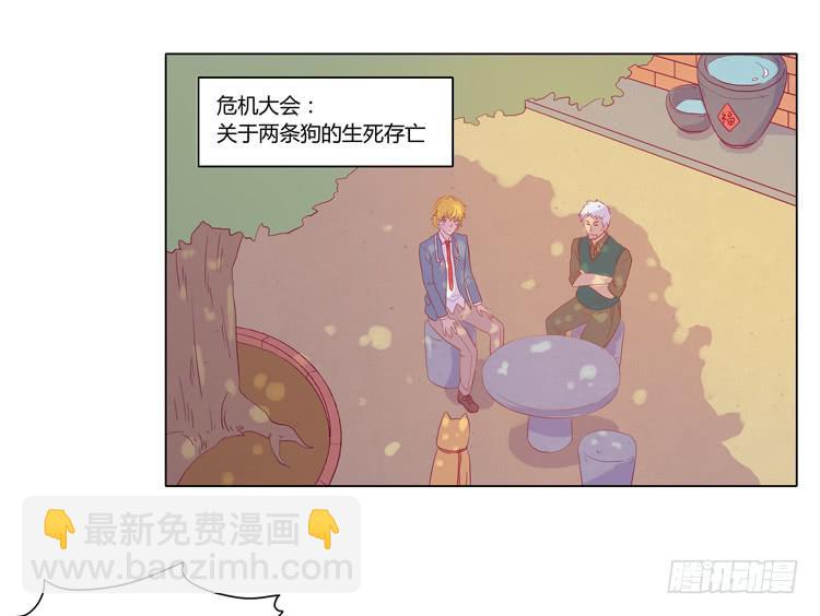 我要带小麦回城里！(1/2)-第51话