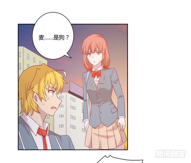 去死吧！傻狗！(1/2)-第71话