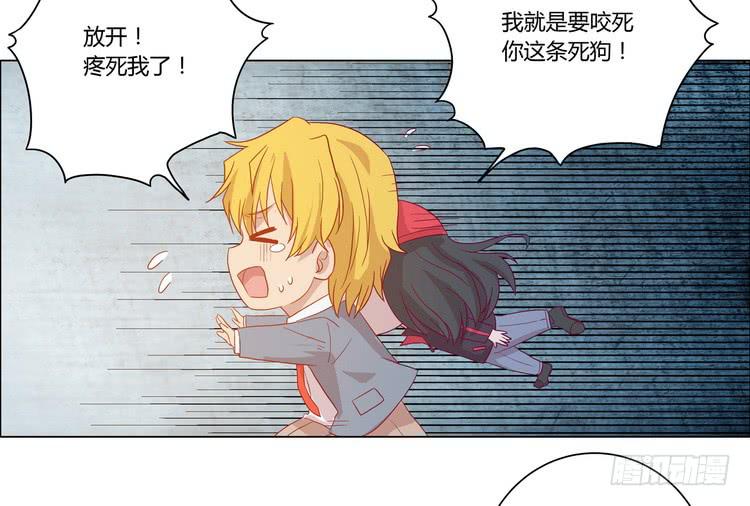 去死吧！傻狗！(1/2)-第71话