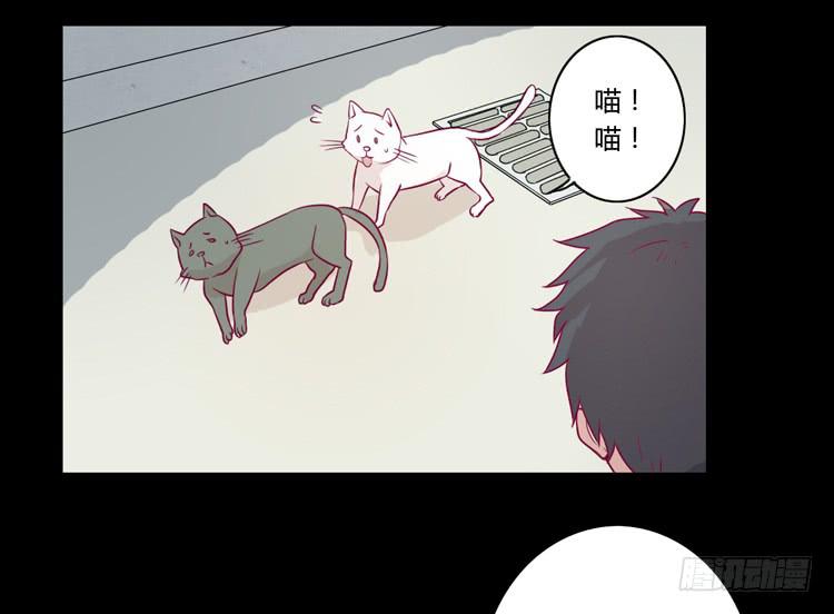 寿命等价交换？！(1/2)-第75话