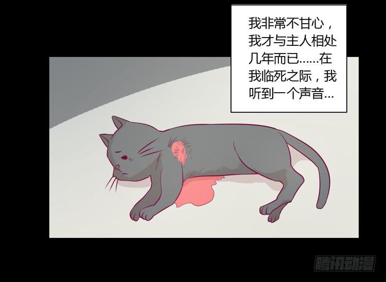 寿命等价交换？！(1/2)-第75话