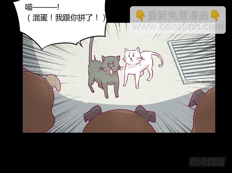 寿命等价交换？！(1/2)-第75话