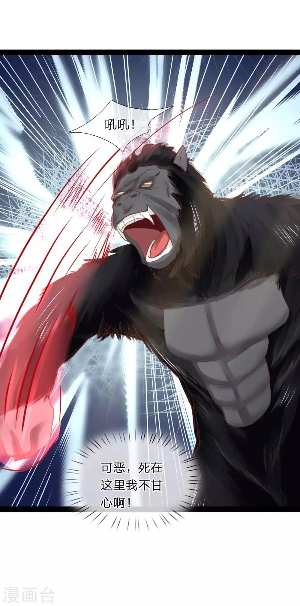 第17话 敢伤我的人-第17话