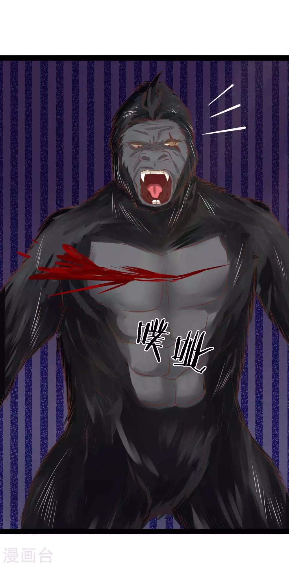 第17话 敢伤我的人-第17话