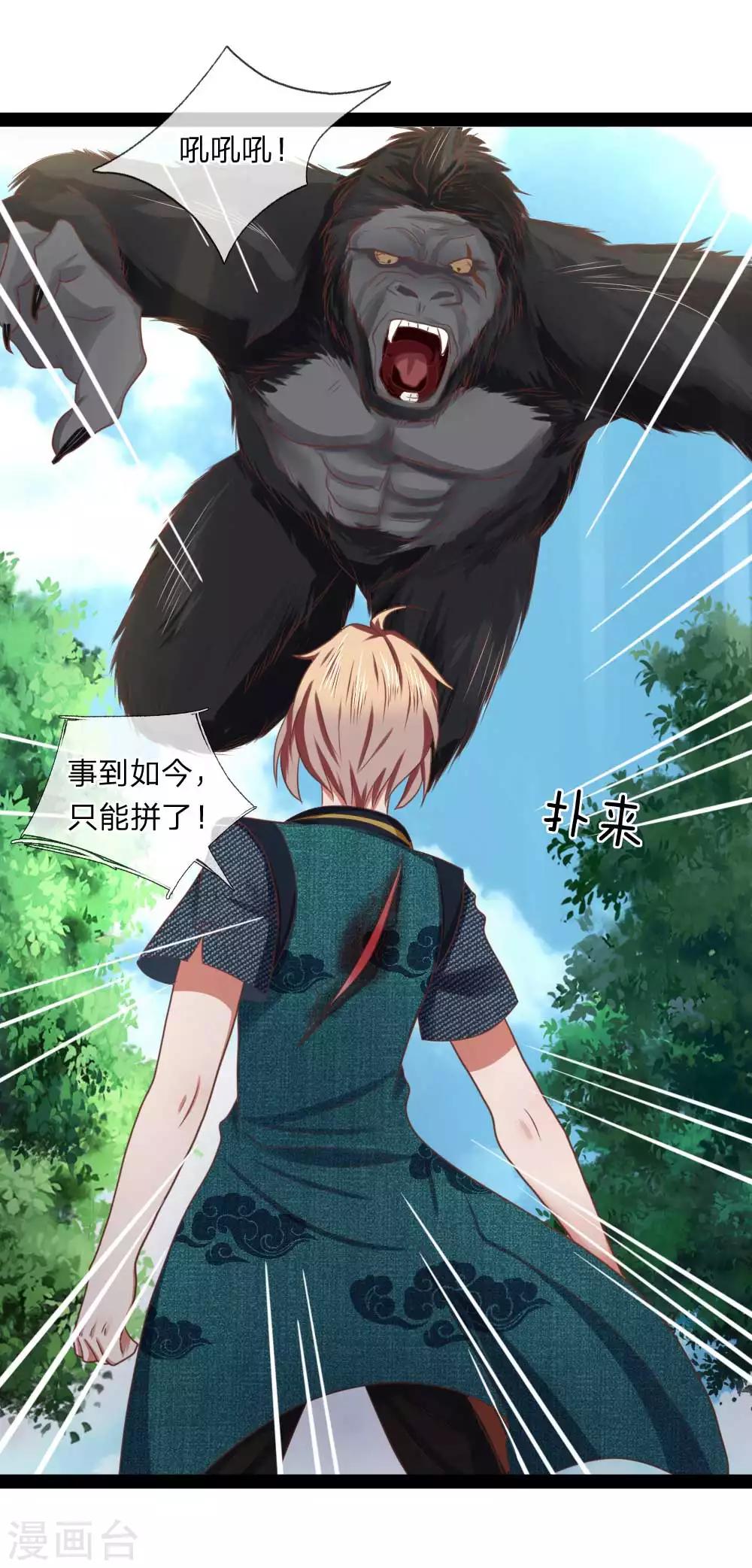 第17话 敢伤我的人-第17话