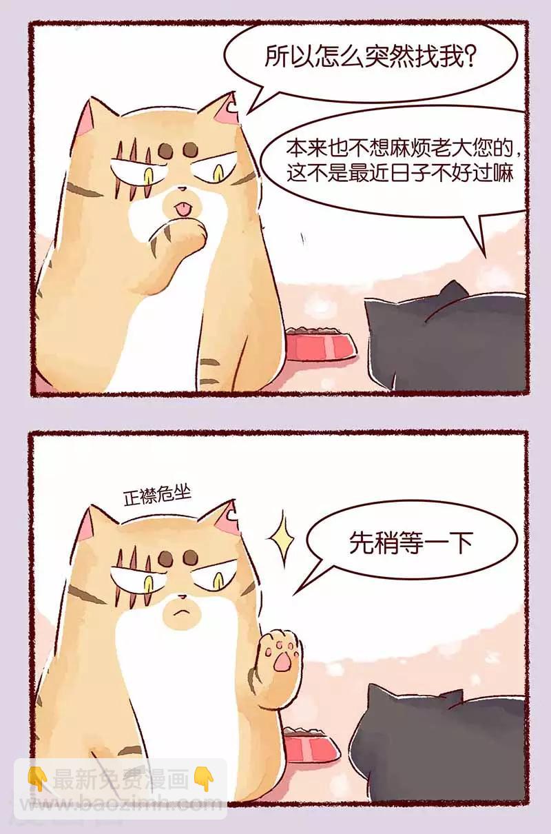 第114话 阿黑-第117话