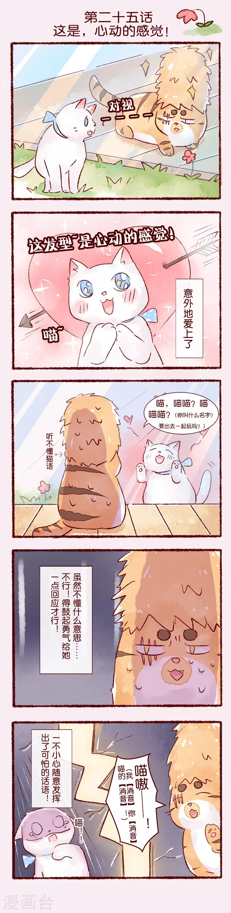 第25话 这是，心动的感觉！-第25话