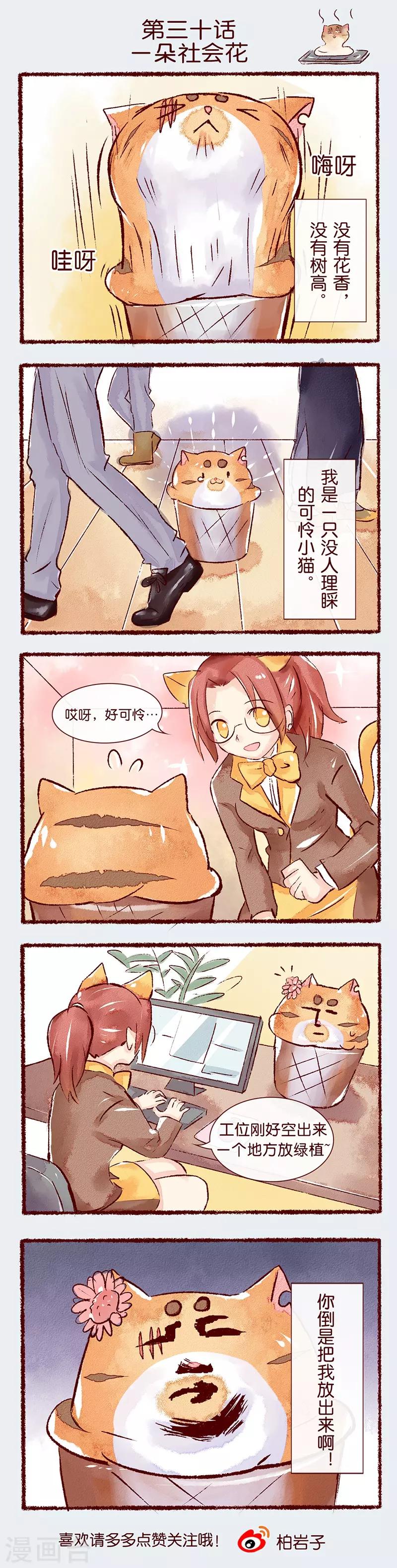 第30话 一朵社会花-第31话