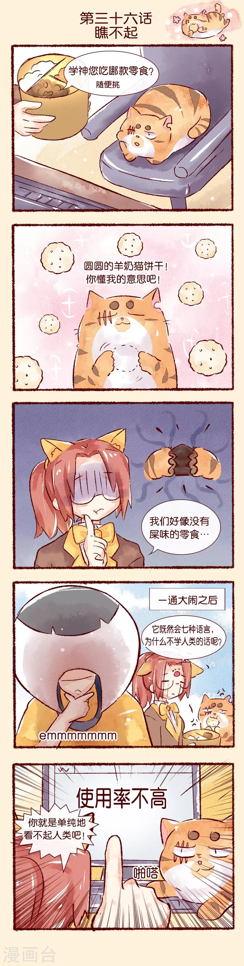 第36话 瞧不起-第37话