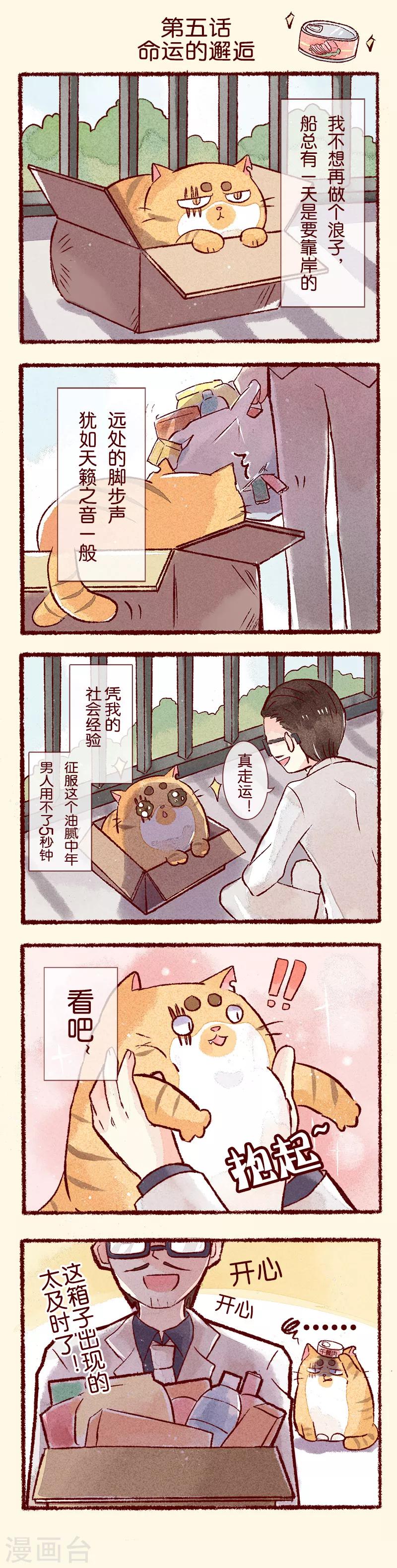 第5话 命运的邂逅-第5话