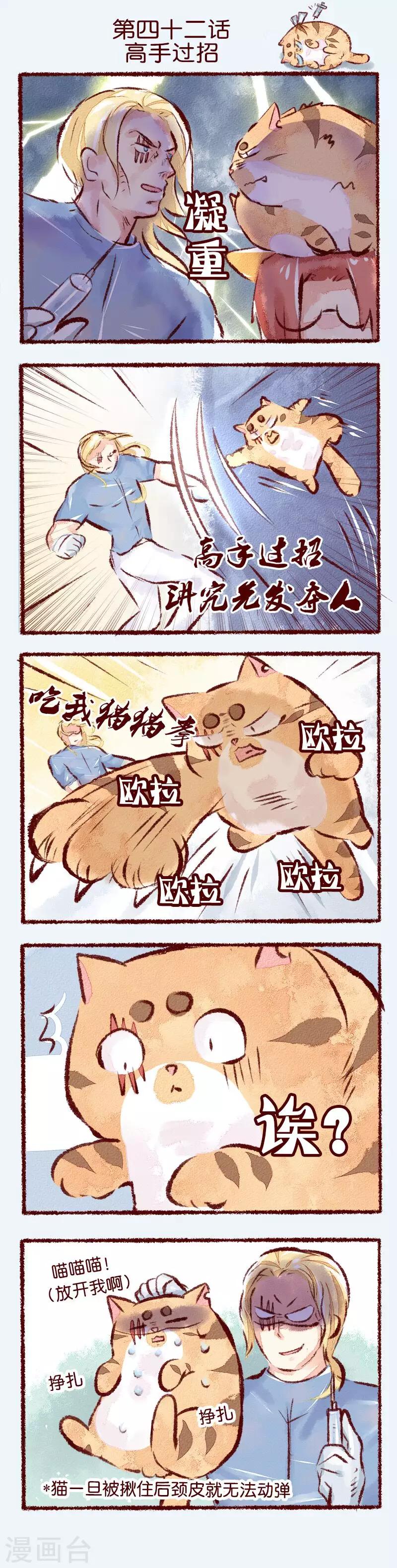 第42话 高手过招-第43话