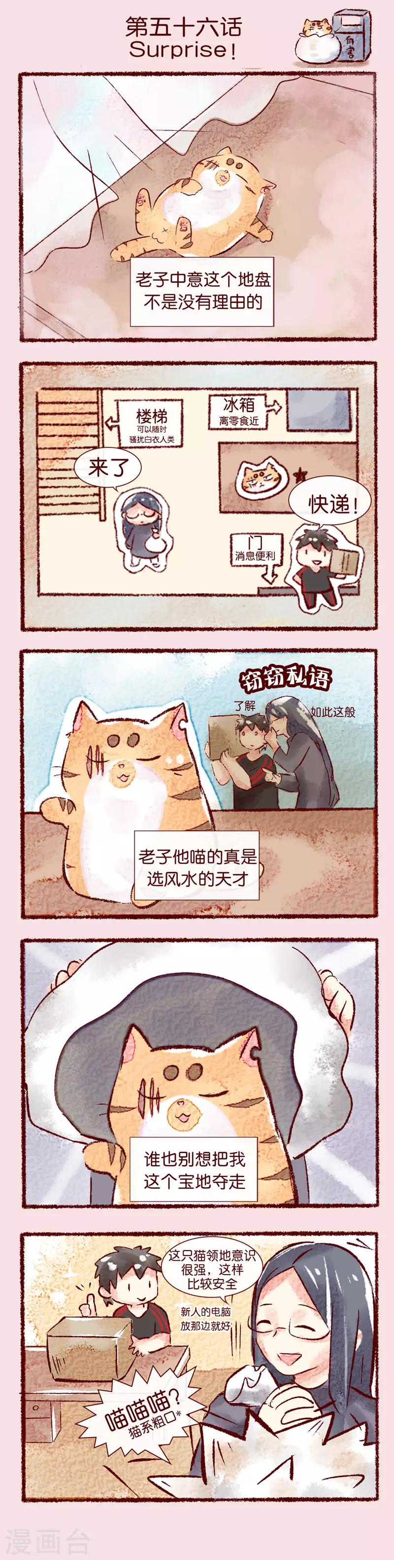 第56话 Surprise！-第57话